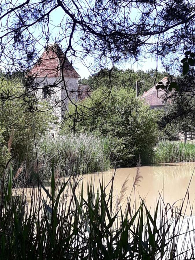 Le Manoir De Pierre Levee, The Originals Collection Ξενοδοχείο Tournon-Saint-Martin Εξωτερικό φωτογραφία